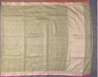 Banarasi Tissue Silk Net Saree | Tilfi weave | Light Green | Handwoven | Ships from California